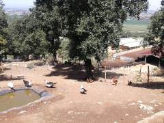 esterno-fattoria1