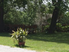 esterno-fattoria7